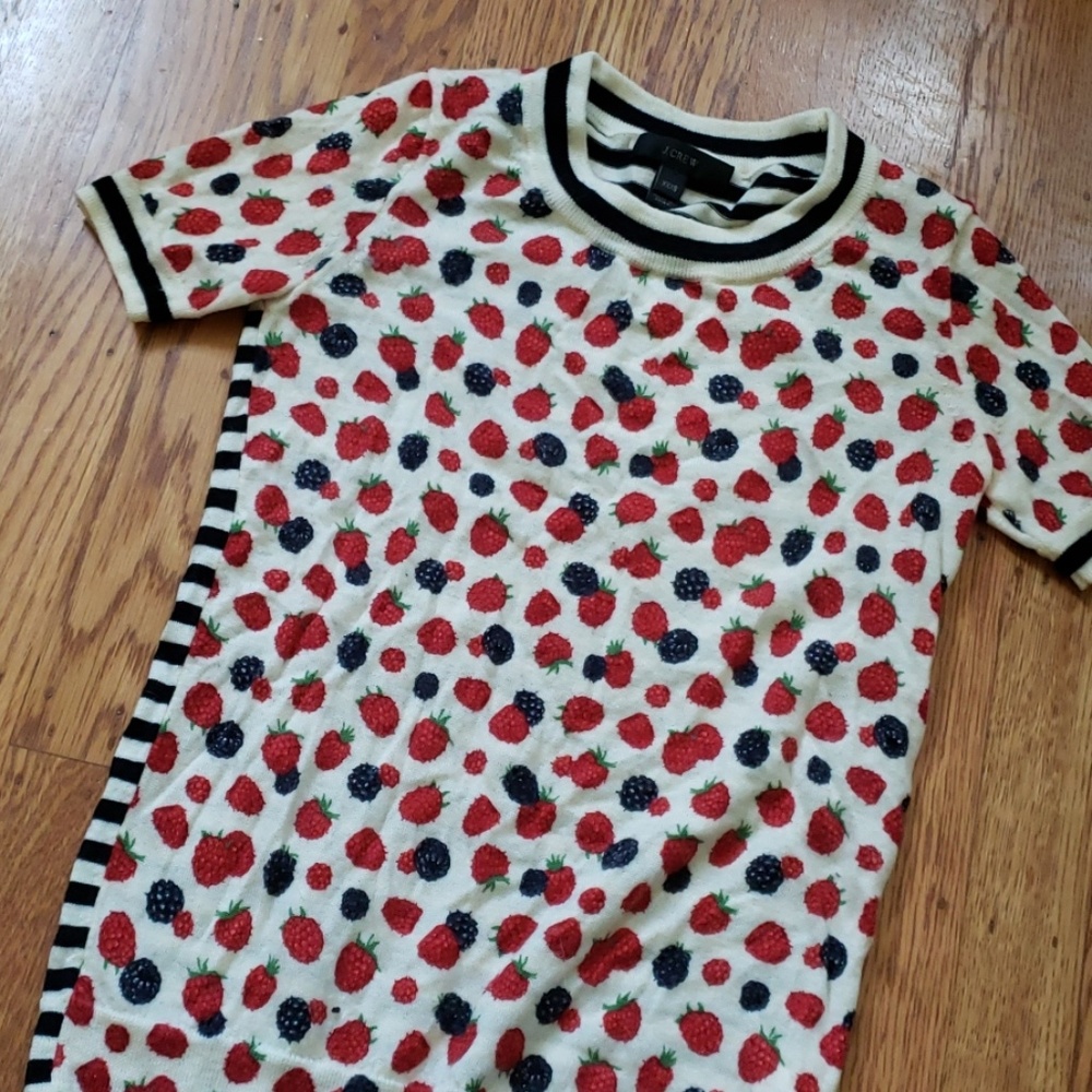 Berry Print Stripe Shirt